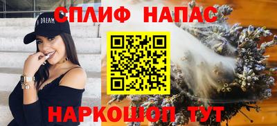 гашик Шелехов
