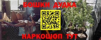 гашик Шелехов
