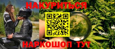 гашик Шелехов