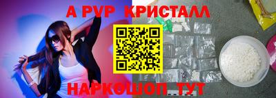 гашик Шелехов