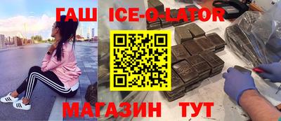 гашик Шелехов